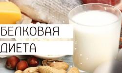 Белковая диета